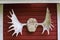 Big white moose antlers on red wooden traditional nordic finnish house travel