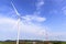 The big windmill turbine field and the electricity pylon