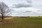 Big windmills for wind power near the village with fields and meadows