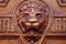 Big wooden head of lion