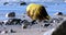 Big Yellow Buoy On Sand Beach