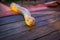 Big yellow burmese python crawling on the floor