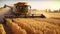 a big yellow harvester harvests wheat