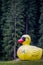 Big yellow inflatable duck and spruce forest