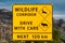 Big yellow wildlife warning road Sign