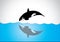 Big young happy free killer whale jumping out of ocean sea surface