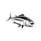 Bigeye Tuna Thunnus Obesus Swimming Down Retro Black and White