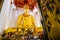 Biggest buddha in Thailand:Luang Pho Toh Wat Ket Chaiyo.