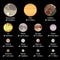 Biggest moons of Solar System planets in descending order, real size ratio, vector illustration