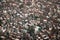 Biggest Slum in South America, Rocinha, Rio de Janeiro, Brazil