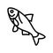 bighead carp line icon vector illustration
