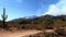 Bighorn Fire in Santa Catalina Mountains - Tucson, Arizona