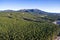 Bighorn Mountains and Forest