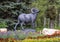 `Bighorn Ram` by Kent Ullberg on display in Beaver Creek, Colorado.