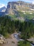 Bighorn Sheep Contemplates a Creek in Glacier National Park