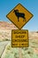 Bighorn Sheep Crossing