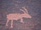 Bighorn sheep rock art