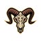 Bighorn Sheep Skull Mascot