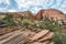 Bighorn Sheep in Zion National Park