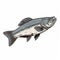 Bigmouth Bass Fishing King Fish Vector Illustration