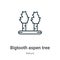 Bigtooth aspen tree outline vector icon. Thin line black bigtooth aspen tree icon, flat vector simple element illustration from