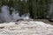 Bijou Geyser at Yellowstone National Park