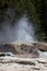 Bijou Geyser at Yellowstone National Park