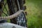 Bike chain on the rear wheel of motocross bike