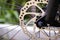 Bike disk brakes