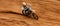 Bike, dust and motion blur with a sports man on space in the desert for dirt biking. Motorcycle, exercise and power with