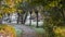 Bike and Footpath in Autumn Giethoorn