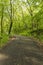 Bike & Hiking Trail In Spring