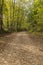 Bike & Hiking Trail In The Woods