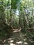 Bike and horse Trail in wilderness nature