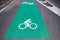 Bike lane sign with arrow pavement marking on asphalt road for e