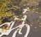 Bike lane. White marking on the road