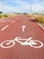 Bike lanes and white bike symbol