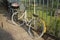 Bike locked to metal fence of park in Singapore