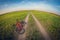 Bike lying on a dirt road in the field, fisheye distortion