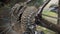 Bike mechanic cleaning dirty gravel bike after forest ride. Sport concept