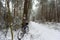 Bike off the trail buried in snow in winter scenery