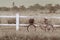 The bike parked on the edge of the fence with broad meadows. , In a lonely atmosphere, vintage