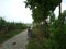 Bike parked on the village road