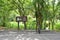 Bike parking in Bang Krachao Park