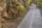 Bike path along Poudre River