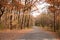 Bike path in the autumn park