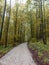 Bike path in forest, Wurmtal in Bavaria, Germany