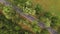 Bike path among green trees. Asphalt track with white markings.