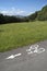 Bike Path on Rural Road