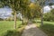 Bike path through trees in grassy park